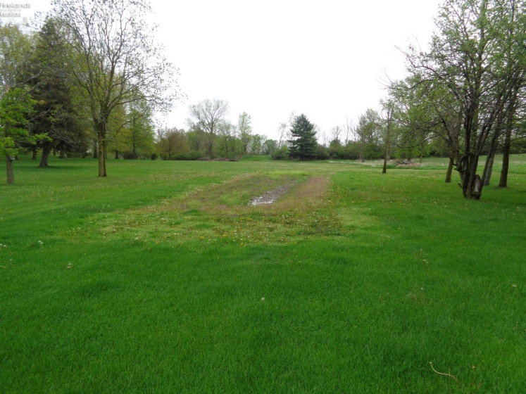 3140 State Route 103, Willard, 44890, 4 Bedrooms Bedrooms, ,2 BathroomsBathrooms,Residential,For Sale,State Route 103,20251642
