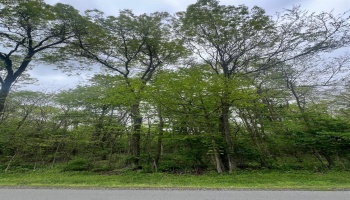 0 Trenton, Put-In-Bay, 43456, ,Land,For Sale,Trenton,20251677