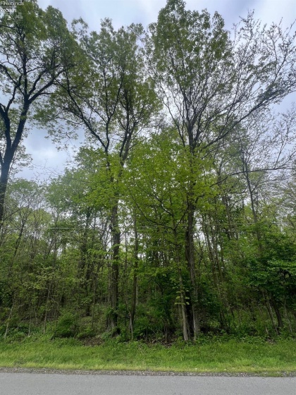 0 Trenton, Put-In-Bay, 43456, ,Land,For Sale,Trenton,20251677