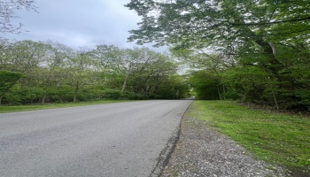 0 Trenton, Put-In-Bay, 43456, ,Land,For Sale,Trenton,20251677