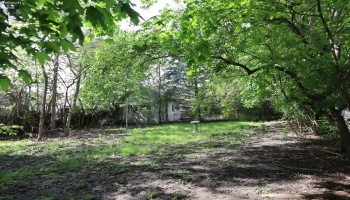 1813 Sandusky Street, Sandusky, 44870, 4 Bedrooms Bedrooms, ,1 BathroomBathrooms,Residential,For Sale,Sandusky,20251676