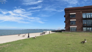401 Shoreline Drive, Sandusky, 44870, 3 Bedrooms Bedrooms, ,3 BathroomsBathrooms,Residential,For Sale,Shoreline,20251666
