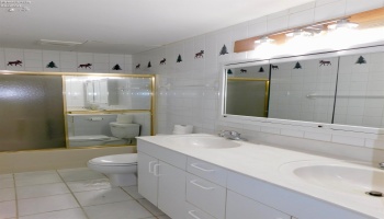 Basement full bathroom