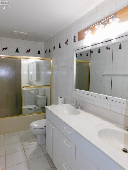 Basement full bathroom