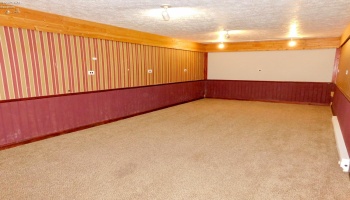 Additional basement living area/media room