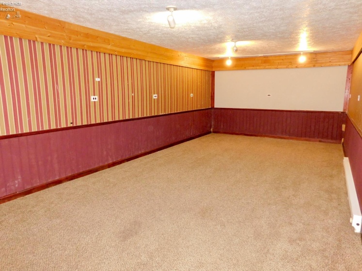 Additional basement living area/media room