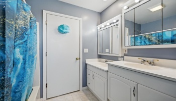 Primary Bedroom Bathroom- Main Floor