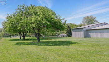Fruit Trees