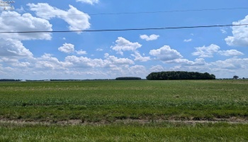 14328 State Route 163, Oak Harbor, 43449, ,Land,For Sale,State Route 163,20251855