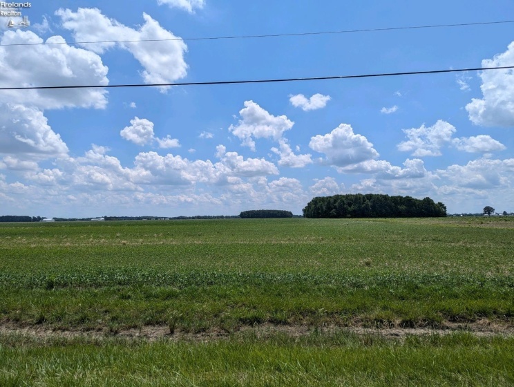 14328 State Route 163, Oak Harbor, 43449, ,Land,For Sale,State Route 163,20251855