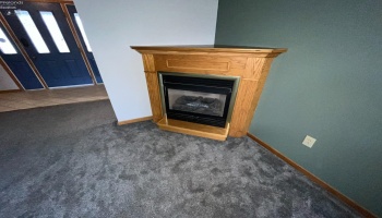 Gas fireplace