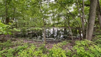 973 Butler Road, New London, 44851, 4 Bedrooms Bedrooms, ,1 BathroomBathrooms,Residential,For Sale,Butler,20251922