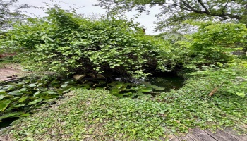 111 Main Street, Norwalk, 44857, 6 Bedrooms Bedrooms, ,3 BathroomsBathrooms,Residential,For Sale,Main,20251858 111 Main Street, Norwalk, 44857, 6 Bedrooms Bedrooms, ,3 BathroomsBathrooms,Residential,For Sale,Main,20251858