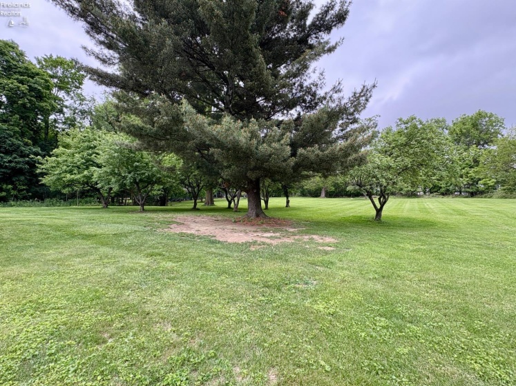 101 Pennington Drive, Sycamore, 44882, 3 Bedrooms Bedrooms, ,2 BathroomsBathrooms,Residential,For Sale,Pennington,20251984