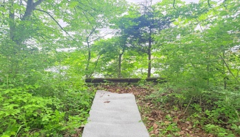 9343 Bayshore Road, Marblehead, 43440, 3 Bedrooms Bedrooms, ,2 BathroomsBathrooms,Residential,For Sale,Bayshore,20251981