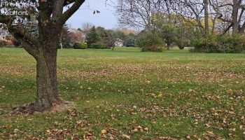 0 Tracht Meadows Drive, Huron, 44839, ,Land,For Sale,Tracht Meadows,20252017
