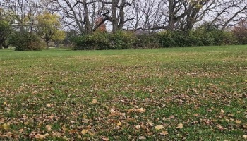 0 Tracht Meadows Drive, Huron, 44839, ,Land,For Sale,Tracht Meadows,20252017