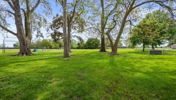 Backyard view