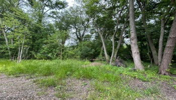 From the south side of the parcel.