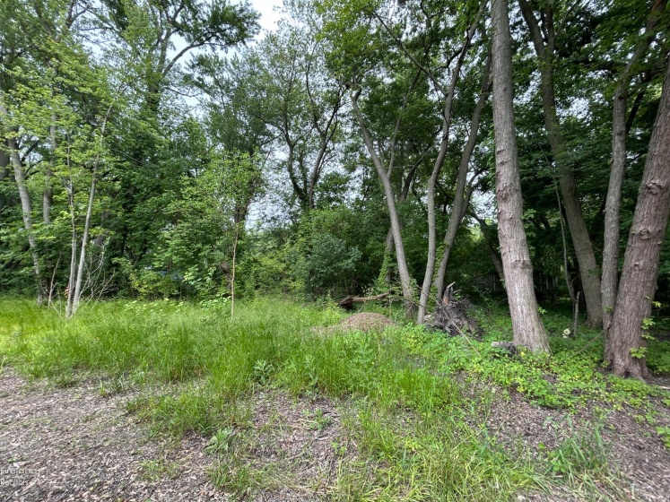 From the south side of the parcel.