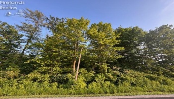 0 SR 590, Burgoon, 43407, ,Land,For Sale,SR 590,20252283