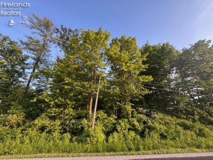 0 SR 590, Burgoon, 43407, ,Land,For Sale,SR 590,20252283