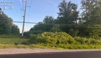 0 SR 590, Burgoon, 43407, ,Land,For Sale,SR 590,20252283