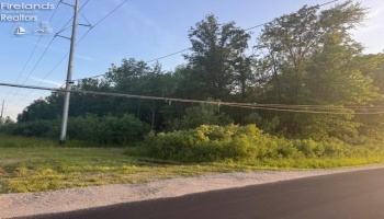 0 SR 590, Burgoon, 43407, ,Land,For Sale,SR 590,20252283