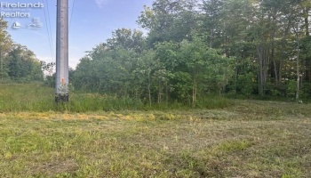 0 SR 590, Burgoon, 43407, ,Land,For Sale,SR 590,20252283