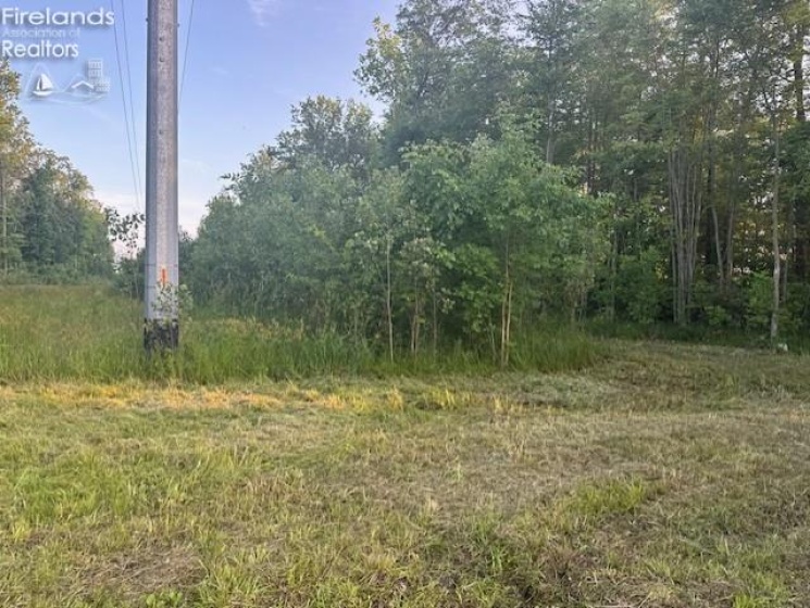 0 SR 590, Burgoon, 43407, ,Land,For Sale,SR 590,20252283
