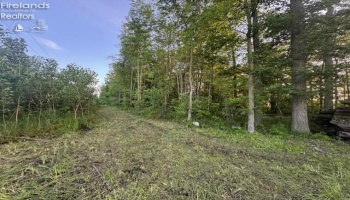 0 SR 590, Burgoon, 43407, ,Land,For Sale,SR 590,20252283