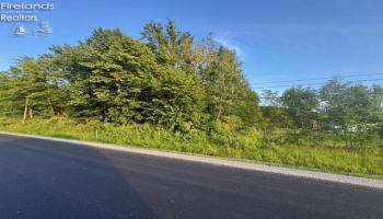0 SR 590, Burgoon, 43407, ,Land,For Sale,SR 590,20252283