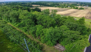 0 SR 590, Burgoon, 43407, ,Land,For Sale,SR 590,20252283