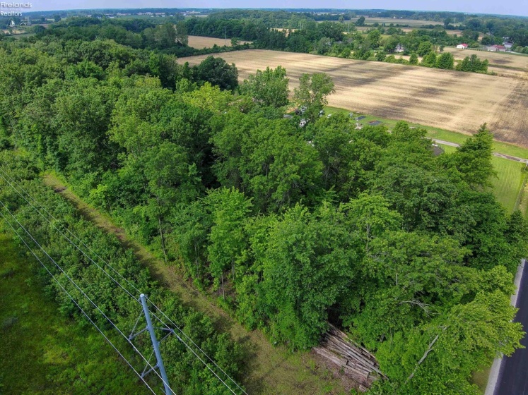 0 SR 590, Burgoon, 43407, ,Land,For Sale,SR 590,20252283
