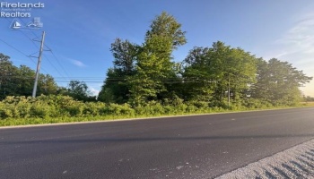 0 SR 590, Burgoon, 43407, ,Land,For Sale,SR 590,20252283