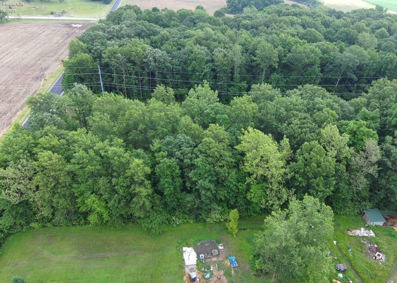 0 SR 590, Burgoon, 43407, ,Land,For Sale,SR 590,20252283