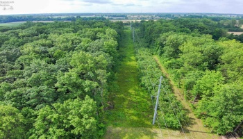 0 SR 590, Burgoon, 43407, ,Land,For Sale,SR 590,20252283