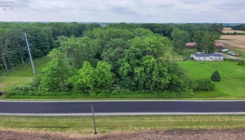 0 SR 590, Burgoon, 43407, ,Land,For Sale,SR 590,20252283