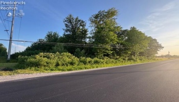 0 SR 590, Burgoon, 43407, ,Land,For Sale,SR 590,20252283