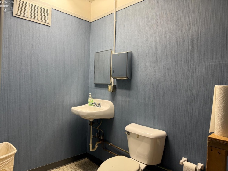 446 Wood Street, Fremont, 43420, ,Commercial,For Sale,Wood,20252418