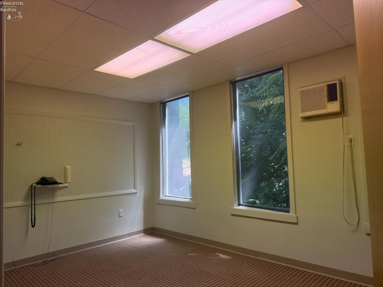 446 Wood Street, Fremont, 43420, ,Commercial,For Sale,Wood,20252418