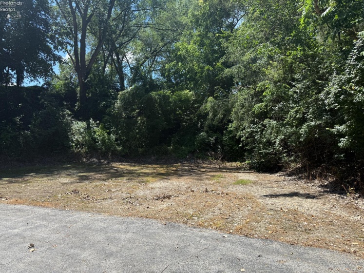 446 Wood Street, Fremont, 43420, ,Commercial,For Sale,Wood,20252418