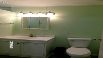 126 Ottawa Street, Oak Harbor, 43449, 3 Bedrooms Bedrooms, ,2 BathroomsBathrooms,Residential,For Sale,Ottawa,20251915