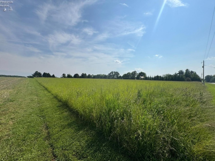 1 tr 106, Tiffin, 44883, ,Land,For Sale,tr 106,20252521