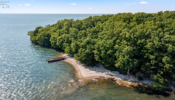 0 Mouse Island, Port Clinton, 43452, ,Land,For Sale,Mouse Island,20252634