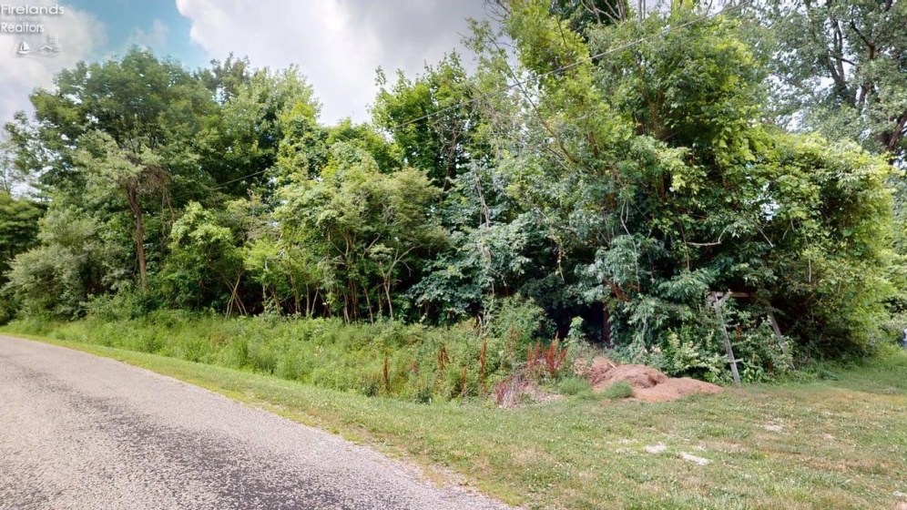 1173 Lakewood Road, Willard, 44890, ,Land,For Sale,Lakewood,20252699