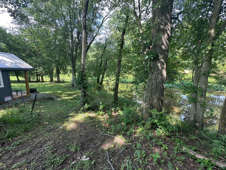 0 Tr 173, Bloomville, 44818, ,Land,For Sale,Tr 173,20252747