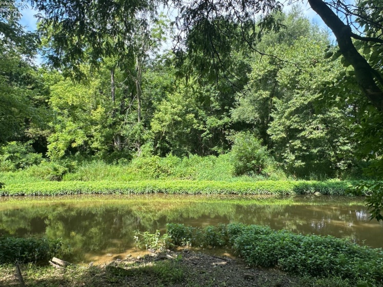 0 Tr 173, Bloomville, 44818, ,Land,For Sale,Tr 173,20252747