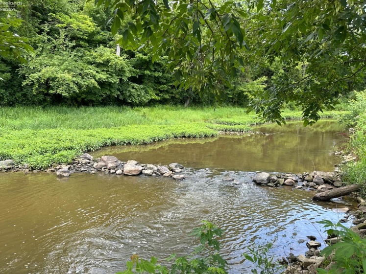 0 Tr 173, Bloomville, 44818, ,Land,For Sale,Tr 173,20252747