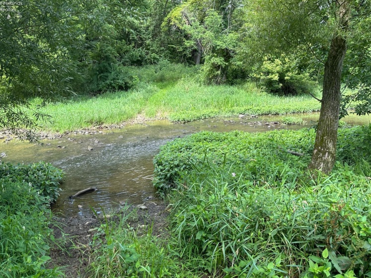0 Tr 173, Bloomville, 44818, ,Land,For Sale,Tr 173,20252747